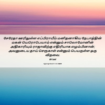 Picture 06 - 1 இராஜாக்கள் 11:26 TAMIRV - சேரேதா ஊரிலுள்ள - Bible Verse Picture