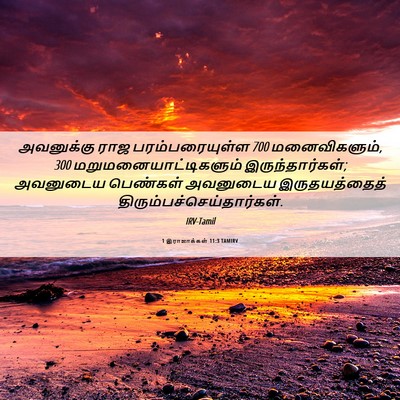 Picture 06 - 1 இராஜாக்கள் 11:3 TAMIRV - அவனுக்கு ராஜ - Bible Verse Picture