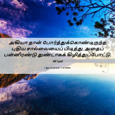 Picture 06 - 1 இராஜாக்கள் 11:30 TAMIRV - அகியா தான் - Bible Verse Picture