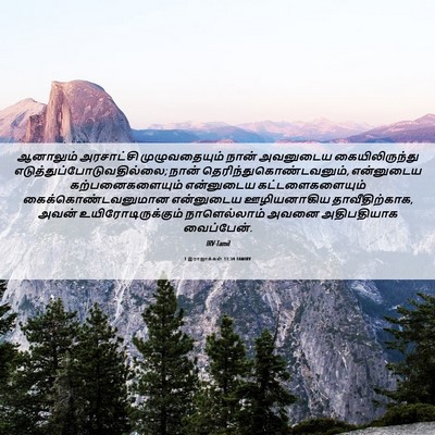 Picture 06 - 1 இராஜாக்கள் 11:34 TAMIRV - ஆனாலும் அரசாட்சி - Bible Verse Picture