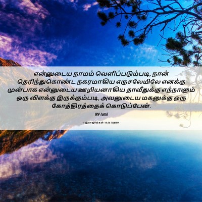 Picture 06 - 1 இராஜாக்கள் 11:36 TAMIRV - என்னுடைய நாமம் - Bible Verse Picture