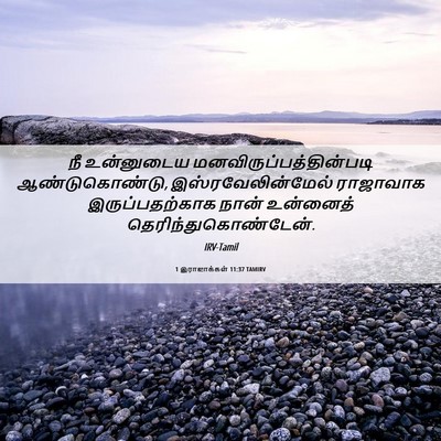 Picture 06 - 1 இராஜாக்கள் 11:37 TAMIRV - நீ உன்னுடைய - Bible Verse Picture