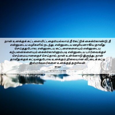Picture 06 - 1 இராஜாக்கள் 11:38 TAMIRV - நான் உனக்குக் - Bible Verse Picture