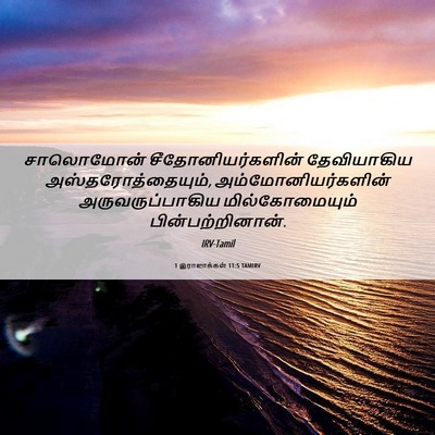 Picture 06 - 1 இராஜாக்கள் 11:5 TAMIRV - சாலொமோன் - Bible Verse Picture