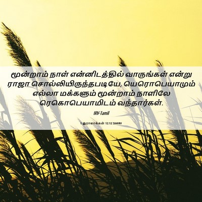 Picture 06 - 1 இராஜாக்கள் 12:12 TAMIRV - மூன்றாம் நாள் - Bible Verse Picture