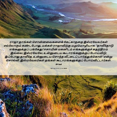 Picture 06 - 1 இராஜாக்கள் 12:16 TAMIRV - ராஜா தாங்கள் - Bible Verse Picture