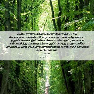 Picture 06 - 1 இராஜாக்கள் 12:18 TAMIRV - பின்பு ராஜாவாகிய - Bible Verse Picture