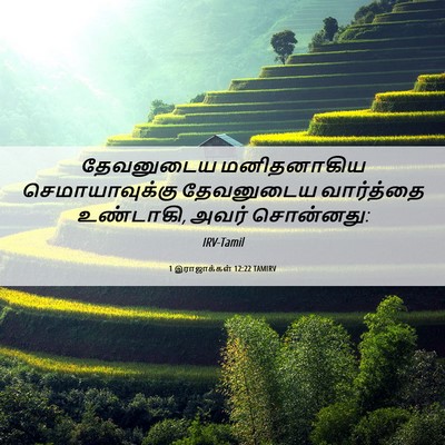 Picture 06 - 1 இராஜாக்கள் 12:22 TAMIRV - தேவனுடைய - Bible Verse Picture