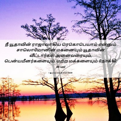 Picture 06 - 1 இராஜாக்கள் 12:23 TAMIRV - நீ யூதாவின் - Bible Verse Picture
