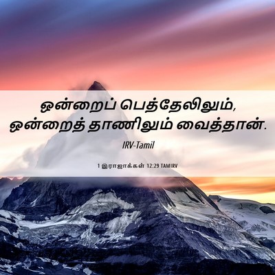 Picture 06 - 1 இராஜாக்கள் 12:29 TAMIRV - ஒன்றைப் - Bible Verse Picture