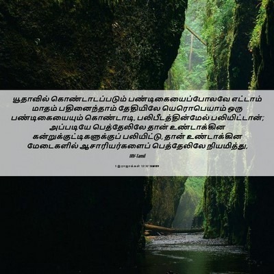 Picture 06 - 1 இராஜாக்கள் 12:32 TAMIRV - யூதாவில் - Bible Verse Picture