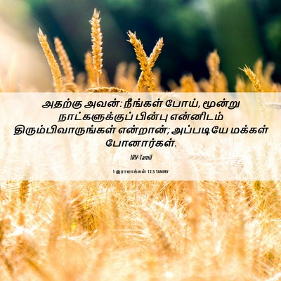 Picture 06 - 1 இராஜாக்கள் 12:5 TAMIRV - அதற்கு அவன்: - Bible Verse Picture