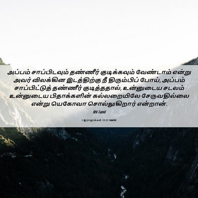 Picture 06 - 1 இராஜாக்கள் 13:22 TAMIRV - அப்பம் - Bible Verse Picture