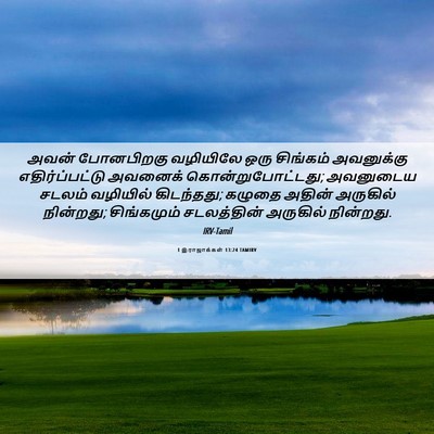 Picture 06 - 1 இராஜாக்கள் 13:24 TAMIRV - அவன் போனபிறகு - Bible Verse Picture