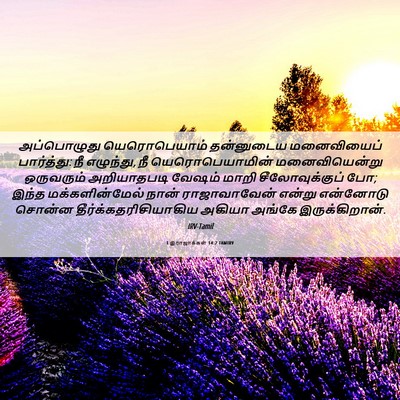 Picture 06 - 1 இராஜாக்கள் 14:2 TAMIRV - அப்பொழுது - Bible Verse Picture
