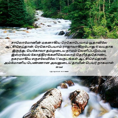 Picture 06 - 1 இராஜாக்கள் 14:21 TAMIRV - சாலொமோனின் - Bible Verse Picture