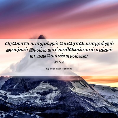 Picture 06 - 1 இராஜாக்கள் 14:30 TAMIRV - ரெகொபெயாமுக்கும் - Bible Verse Picture