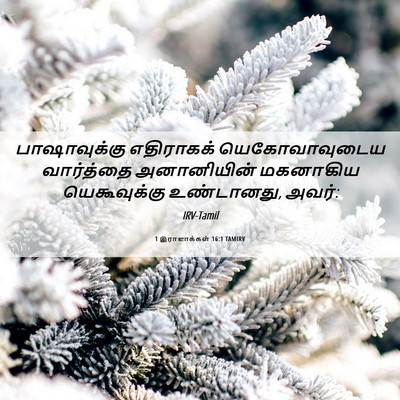 Picture 06 - 1 இராஜாக்கள் 16:1 TAMIRV - பாஷாவுக்கு - Bible Verse Picture