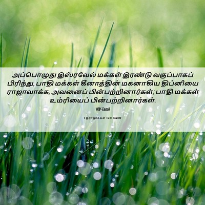 Picture 06 - 1 இராஜாக்கள் 16:21 TAMIRV - அப்பொழுது - Bible Verse Picture