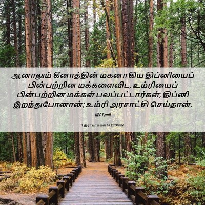 Picture 06 - 1 இராஜாக்கள் 16:22 TAMIRV - ஆனாலும் - Bible Verse Picture