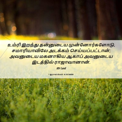 Picture 06 - 1 இராஜாக்கள் 16:28 TAMIRV - உம்ரி இறந்து - Bible Verse Picture