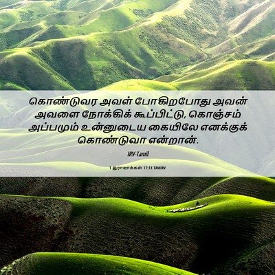 Picture 06 - 1 இராஜாக்கள் 17:11 TAMIRV - கொண்டுவர அவள் - Bible Verse Picture