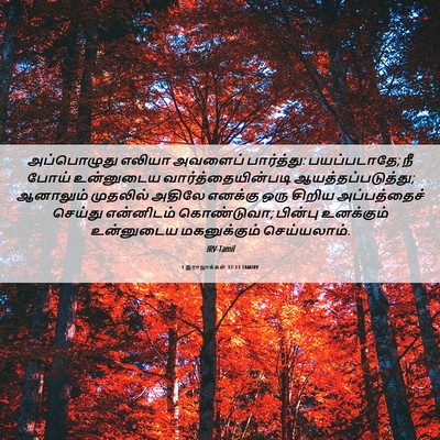 Picture 06 - 1 இராஜாக்கள் 17:13 TAMIRV - அப்பொழுது எலியா - Bible Verse Picture