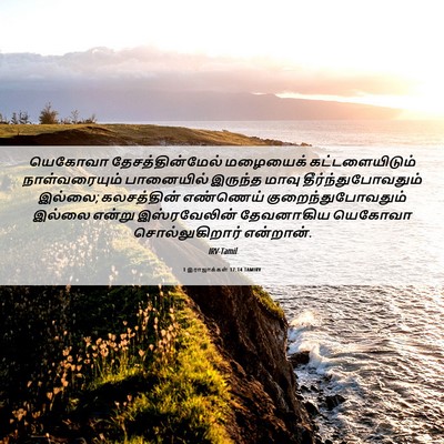 Picture 06 - 1 இராஜாக்கள் 17:14 TAMIRV - யெகோவா - Bible Verse Picture