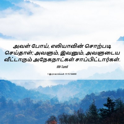 Picture 06 - 1 இராஜாக்கள் 17:15 TAMIRV - அவள் போய், - Bible Verse Picture