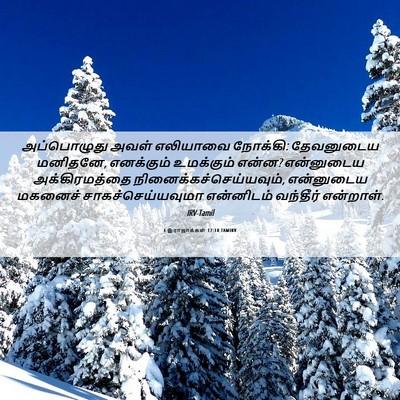 Picture 06 - 1 இராஜாக்கள் 17:18 TAMIRV - அப்பொழுது அவள் - Bible Verse Picture