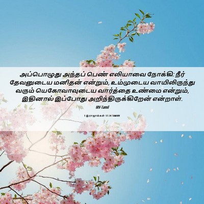 Picture 06 - 1 இராஜாக்கள் 17:24 TAMIRV - அப்பொழுது அந்தப் - Bible Verse Picture