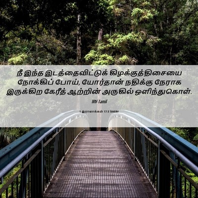 Picture 06 - 1 இராஜாக்கள் 17:3 TAMIRV - நீ இந்த - Bible Verse Picture