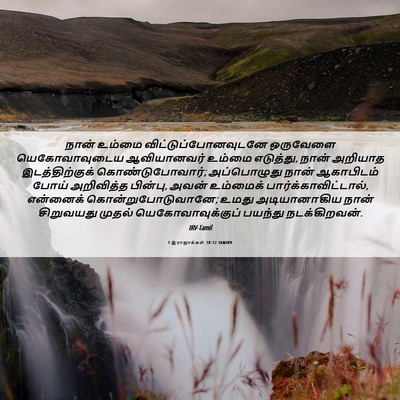 Picture 06 - 1 இராஜாக்கள் 18:12 TAMIRV - நான் உம்மை - Bible Verse Picture