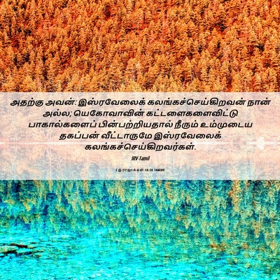 Picture 06 - 1 இராஜாக்கள் 18:18 TAMIRV - அதற்கு அவன்: - Bible Verse Picture
