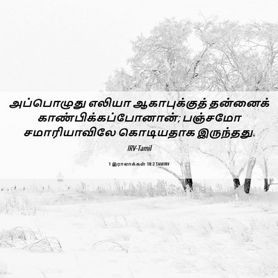 Picture 06 - 1 இராஜாக்கள் 18:2 TAMIRV - அப்பொழுது எலியா - Bible Verse Picture