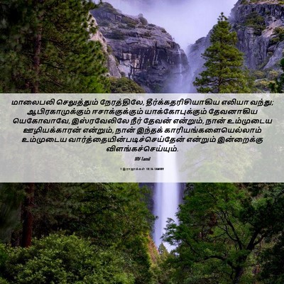 Picture 06 - 1 இராஜாக்கள் 18:36 TAMIRV - மாலைபலி - Bible Verse Picture