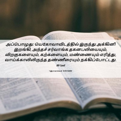 Picture 06 - 1 இராஜாக்கள் 18:38 TAMIRV - அப்பொழுது: - Bible Verse Picture