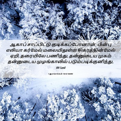 Picture 06 - 1 இராஜாக்கள் 18:42 TAMIRV - ஆகாப் சாப்பிட்டு - Bible Verse Picture