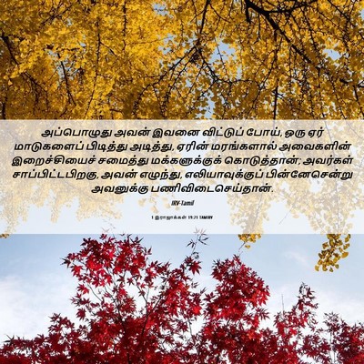Picture 06 - 1 இராஜாக்கள் 19:21 TAMIRV - அப்பொழுது அவன் - Bible Verse Picture