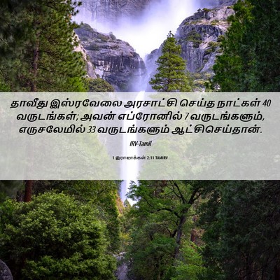 Picture 06 - 1 இராஜாக்கள் 2:11 TAMIRV - தாவீது இஸ்ரவேலை - Bible Verse Picture
