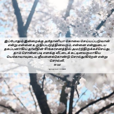 Picture 06 - 1 இராஜாக்கள் 2:24 TAMIRV - இப்போதும் - Bible Verse Picture