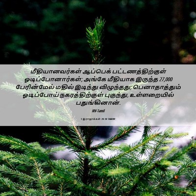 Picture 06 - 1 இராஜாக்கள் 20:30 TAMIRV - மீதியானவர்கள் - Bible Verse Picture