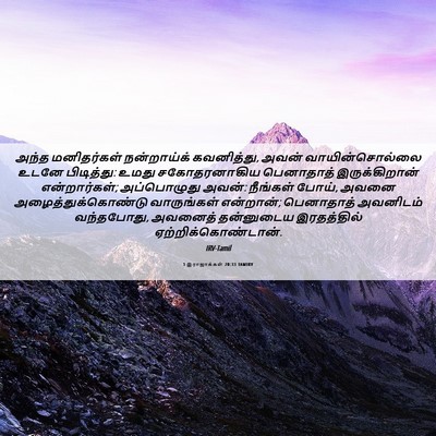 Picture 06 - 1 இராஜாக்கள் 20:33 TAMIRV - அந்த மனிதர்கள் - Bible Verse Picture