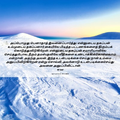 Picture 06 - 1 இராஜாக்கள் 20:34 TAMIRV - அப்பொழுது - Bible Verse Picture