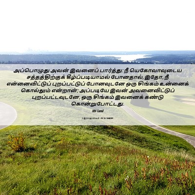 Picture 06 - 1 இராஜாக்கள் 20:36 TAMIRV - அப்பொழுது அவன் - Bible Verse Picture