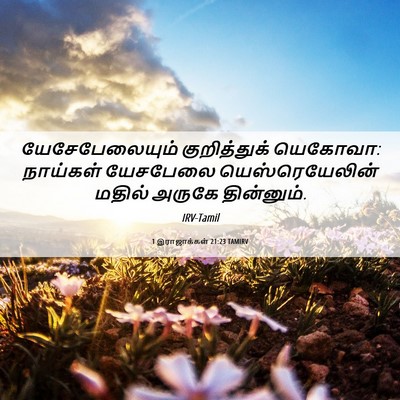 Picture 06 - 1 இராஜாக்கள் 21:23 TAMIRV - யேசேபேலையும் - Bible Verse Picture