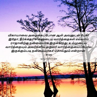 Picture 06 - 1 இராஜாக்கள் 22:13 TAMIRV - மிகாயாவை - Bible Verse Picture
