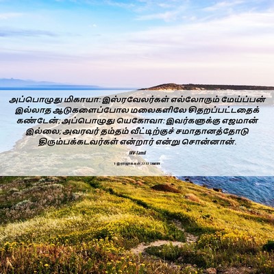 Picture 06 - 1 இராஜாக்கள் 22:17 TAMIRV - அப்பொழுது மிகாயா: - Bible Verse Picture