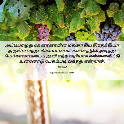 Picture 06 - 1 இராஜாக்கள் 22:24 TAMIRV - அப்பொழுது - Bible Verse Picture