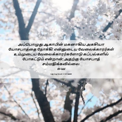 Picture 06 - 1 இராஜாக்கள் 22:49 TAMIRV - அப்பொழுது ஆகாபின் - Bible Verse Picture